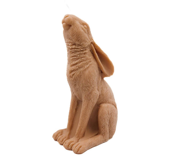 A Pleasant Thought - HARE CANDLE | PILLAR