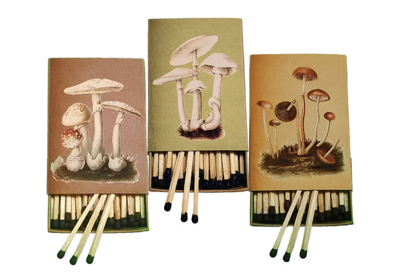 "Natural 'Shrooms!" Handmade Decorator Matchbox - White Agaricus