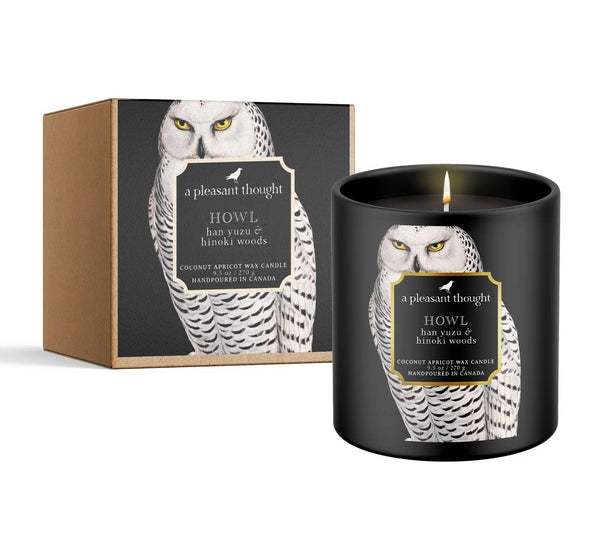 A Pleasant Thought - HOWL | HAN YUZU & HINOKI WOODS | RAVEN CANDLE: Cotton