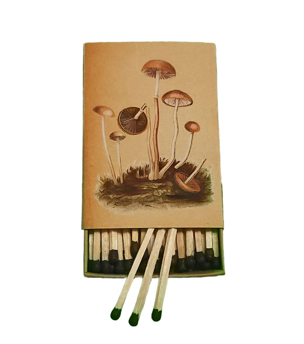 "Natural 'Shrooms!" Handmade Decorator Matchbox Panaeolus