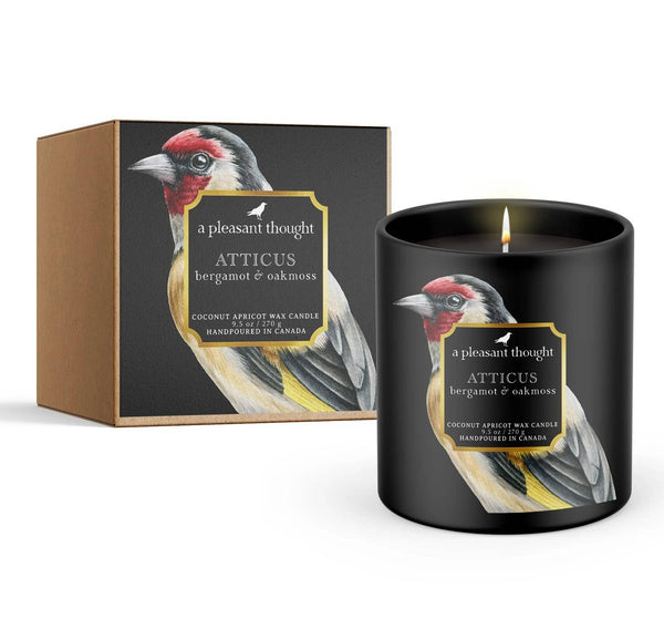 A Pleasant Thought - ATTICUS | BERGAMOT & OAKMOSS | RAVEN CANDLE
: Cotton