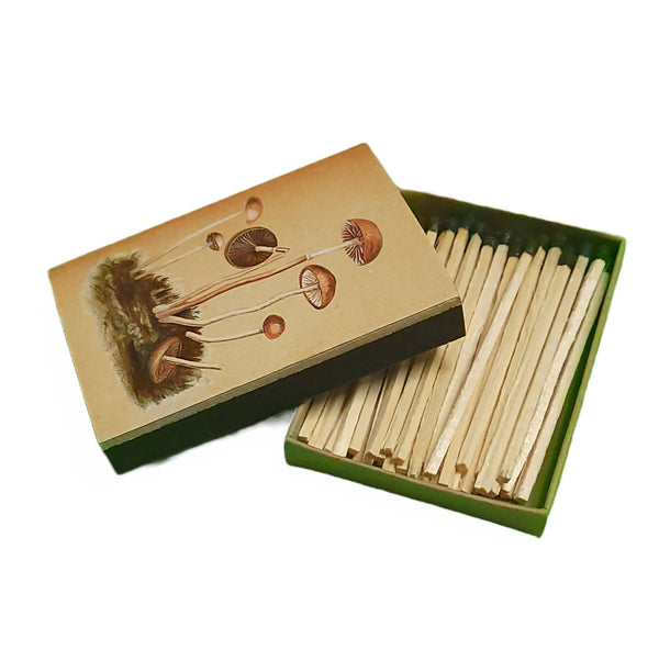 "Natural 'Shrooms!" Handmade Decorator Matchbox Panaeolus