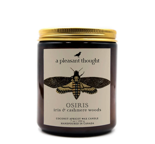 A Pleasant Thought - OSIRIS | IRIS & CASHMERE WOODS | JAR CANDLE: Cotton