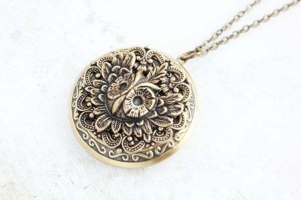 A Pocket of Posies - Owl Locket Necklace - Antiqued Gold Brass: 24 inches