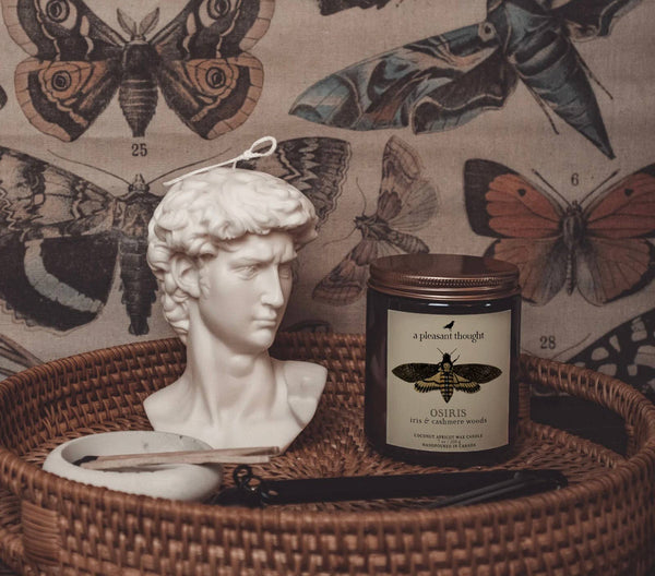 A Pleasant Thought - OSIRIS | IRIS & CASHMERE WOODS | JAR CANDLE: Cotton