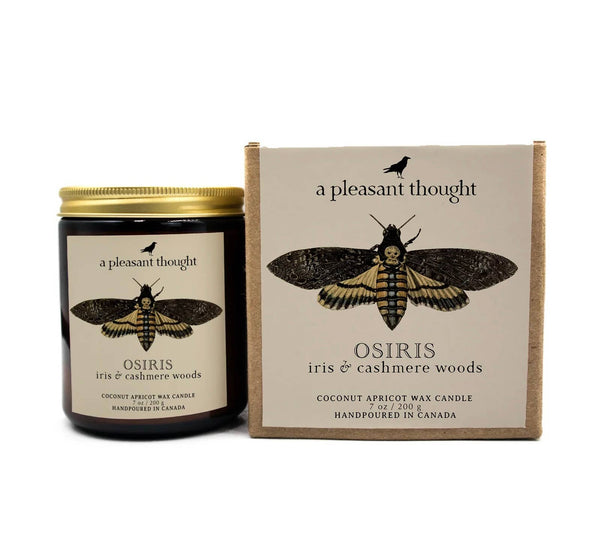 A Pleasant Thought - OSIRIS | IRIS & CASHMERE WOODS | JAR CANDLE: Cotton